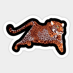 leopard Sticker